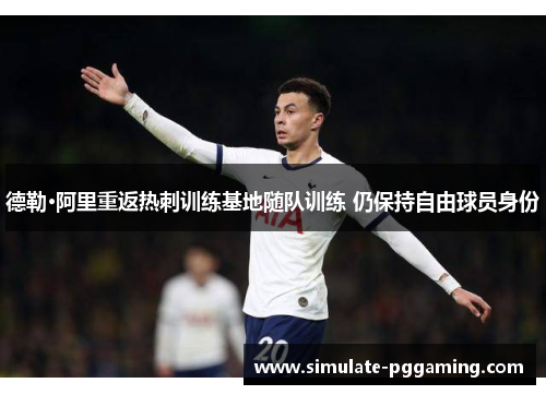德勒·阿里重返热刺训练基地随队训练 仍保持自由球员身份 德勒·阿里重返热刺训练基地随队训练 仍保持自由球员身份